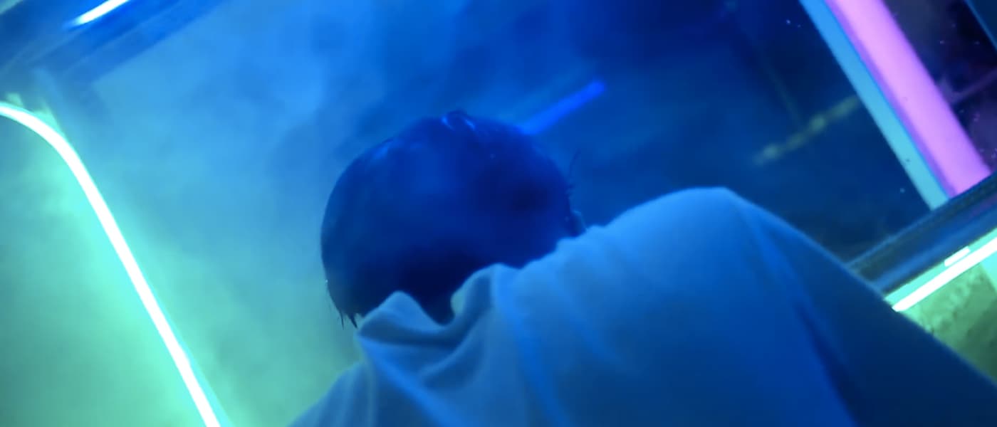 Peatle - StillShiny feat.Schizyway [Official Video]