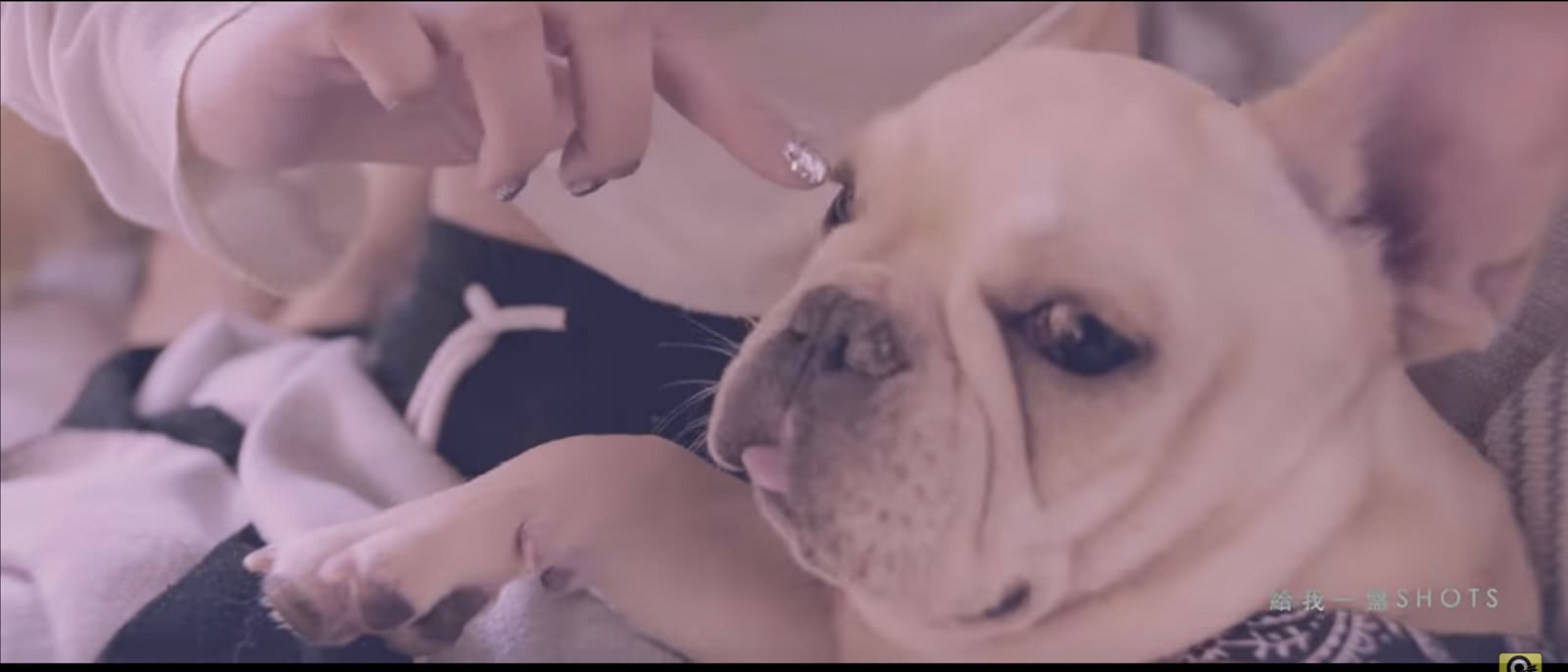 頑童MJ116 【辣台妹 HOT CHICK】Official Music Video