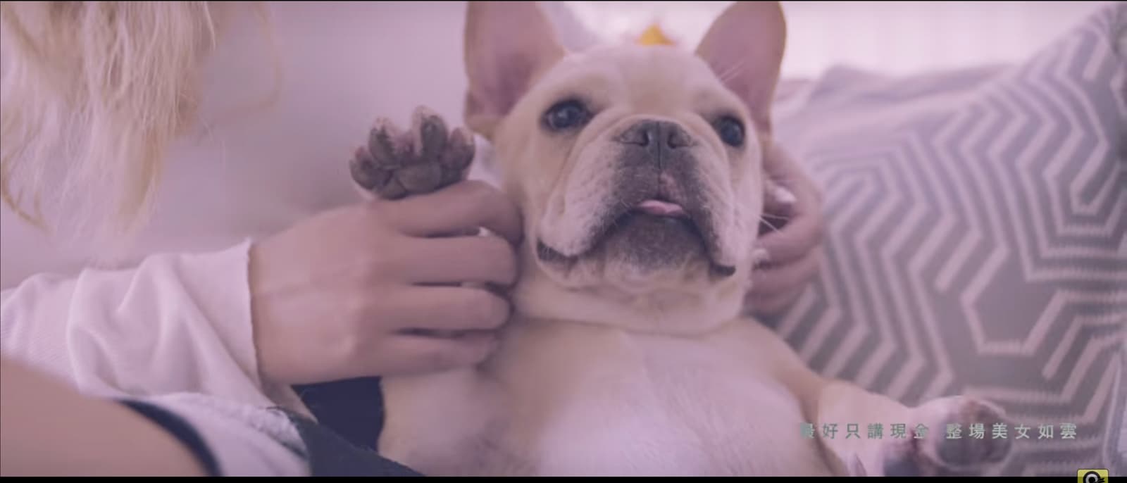 頑童MJ116 【辣台妹 HOT CHICK】Official Music Video