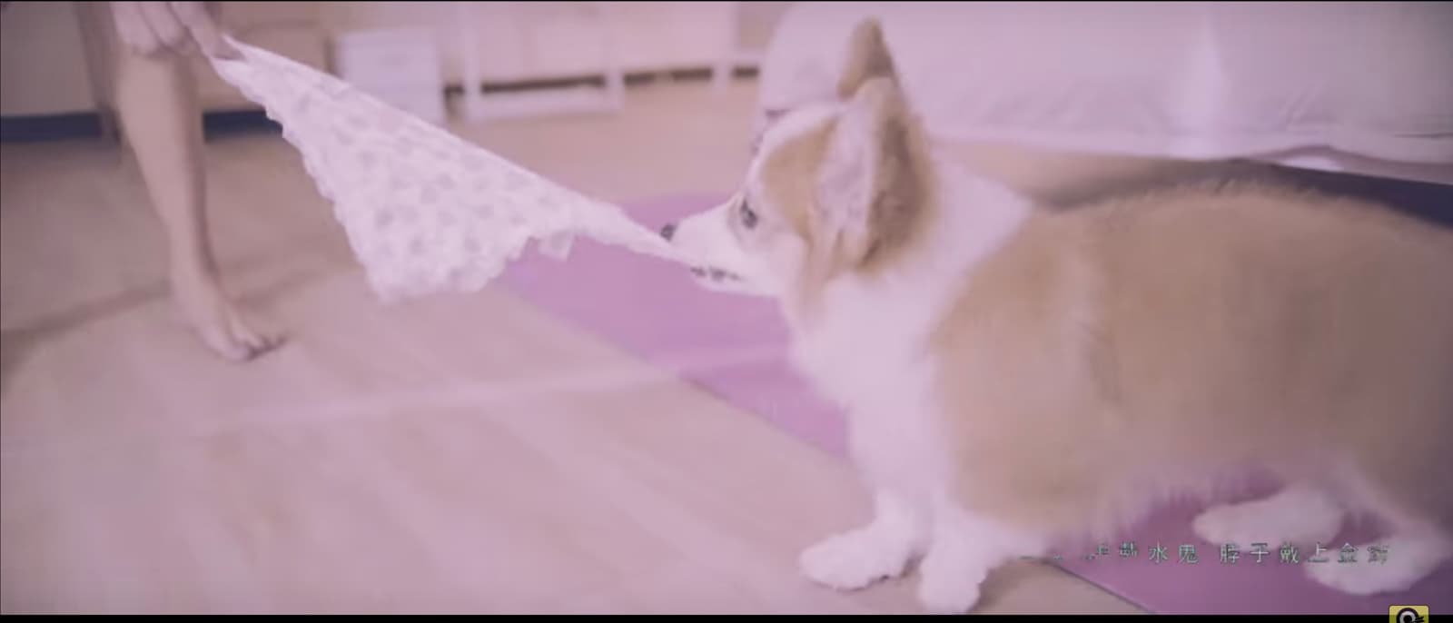 頑童MJ116 【辣台妹 HOT CHICK】Official Music Video