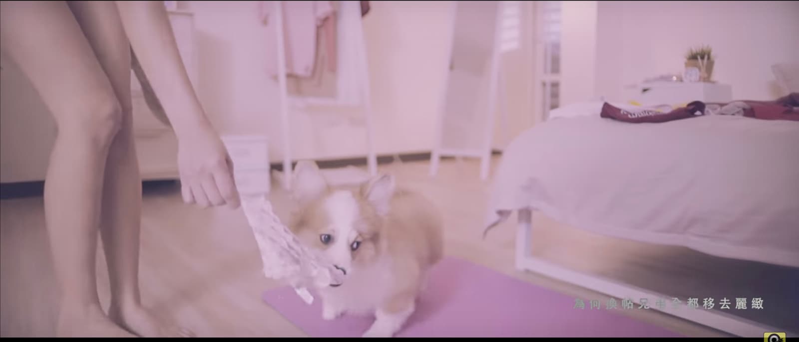 頑童MJ116 【辣台妹 HOT CHICK】Official Music Video