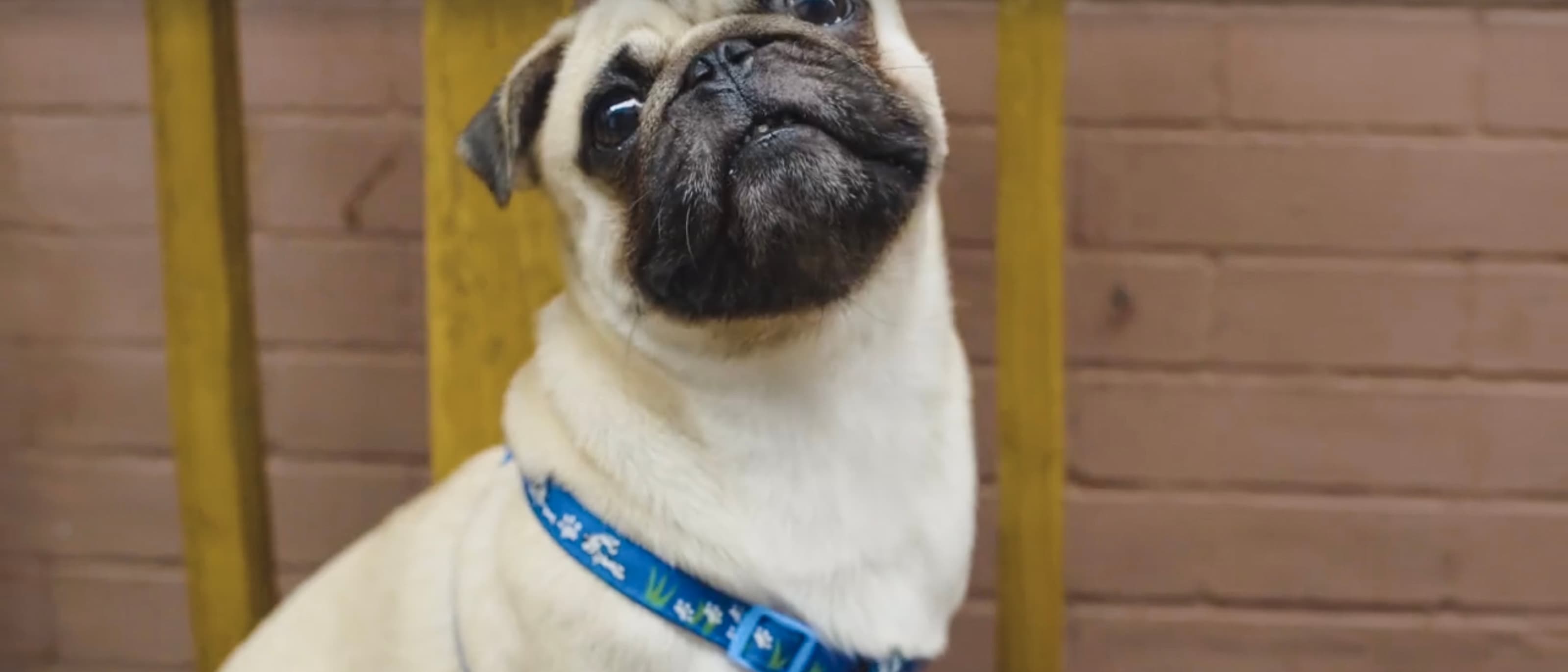 哈爾濱啤酒 Harbin Beer x 歐陽靖 MC JIN x 高度創意影像 StayHighCrew Production